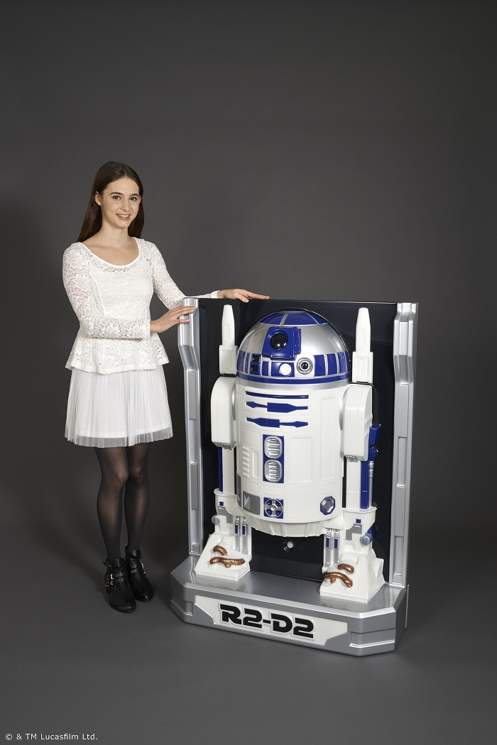 スター・ウォーズ「3D WALL FIGURE STAR WARS 1/1 R2-D2」のフィギュア画像