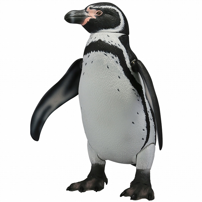 「ソフビトイボックス011 ペンギン フンボルトペンギン」のフィギュア画像
