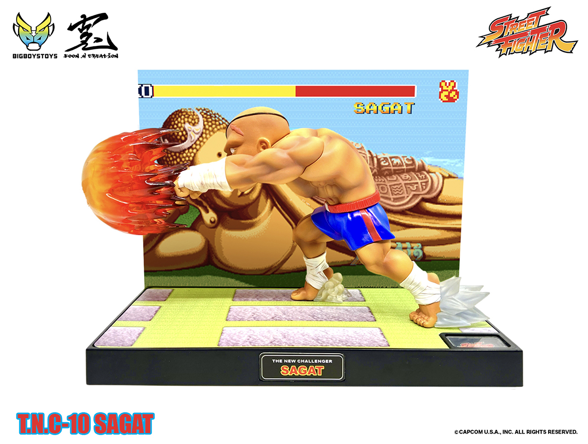 STREET FIGHTER「ストリートファイター T.N.C- 10 -サガット」の 