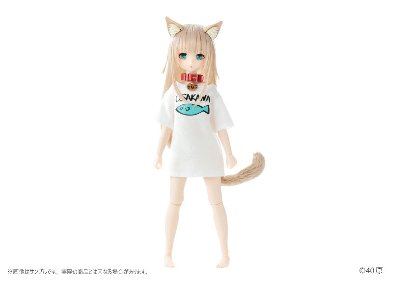うちのねこが女の子でかわいい「きなこ ドール 通常版」のフィギュア画像