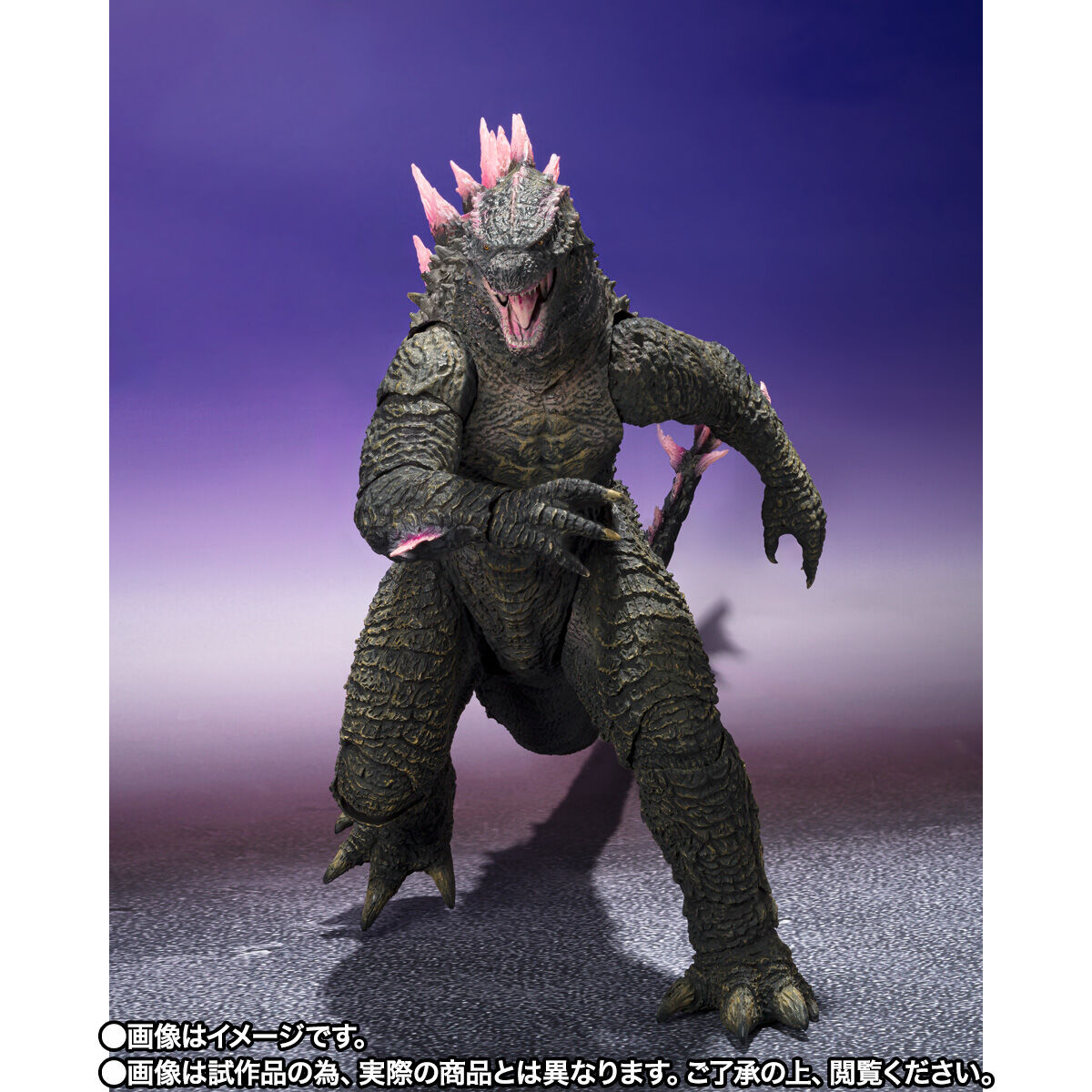 ゴジラxコング 新たなる帝国「S.H.MonsterArts GODZILLA （2024） EVOLVED Ver. FROM GODZILLA × KONG: THE NEW EMPIRE」のフィギュア画像