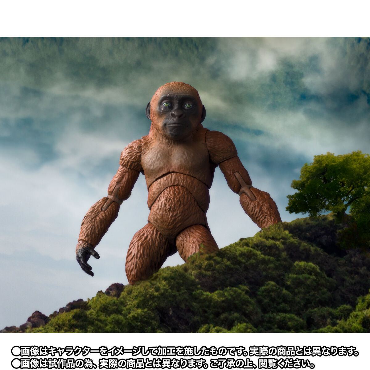 ゴジラ×コング 新たなる帝国「S.H.MonsterArts SUKO ＆ MOTHRA （2024） FROM GODZILLA × KONG: THE NEW EMPIRE」のフィギュア画像