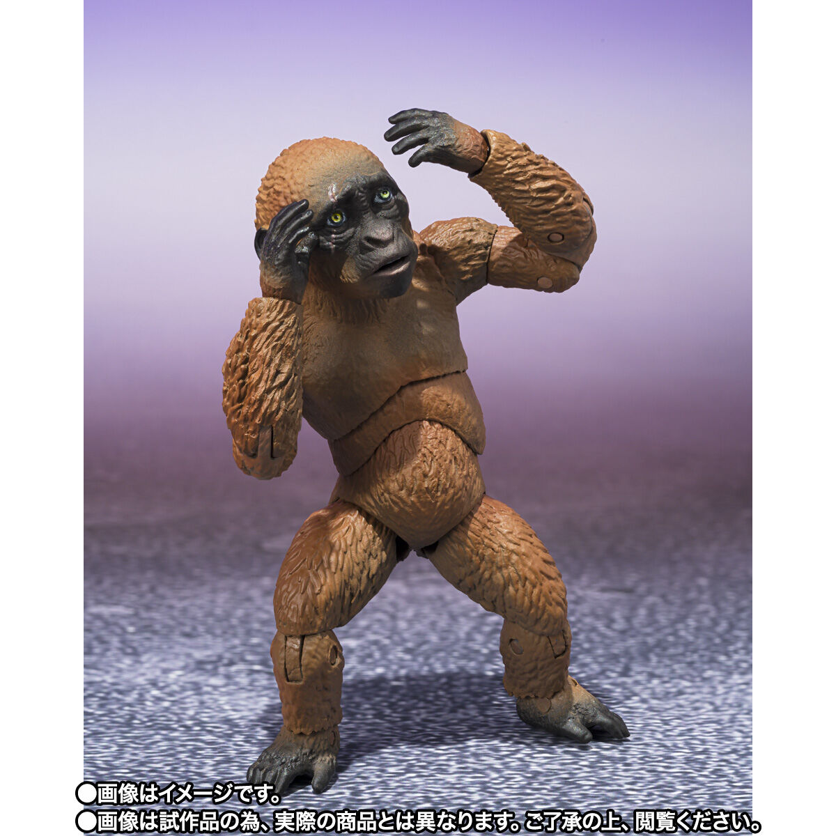 ゴジラ×コング 新たなる帝国「S.H.MonsterArts SUKO ＆ MOTHRA （2024） FROM GODZILLA × KONG: THE NEW EMPIRE」のフィギュア画像