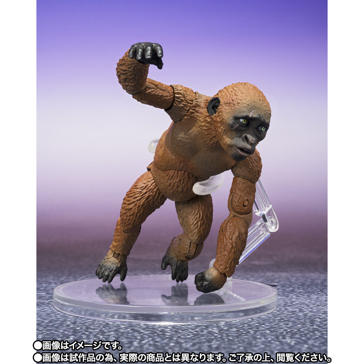 ゴジラ×コング 新たなる帝国「S.H.MonsterArts SUKO ＆ MOTHRA （2024） FROM GODZILLA × KONG: THE NEW EMPIRE」のフィギュア画像