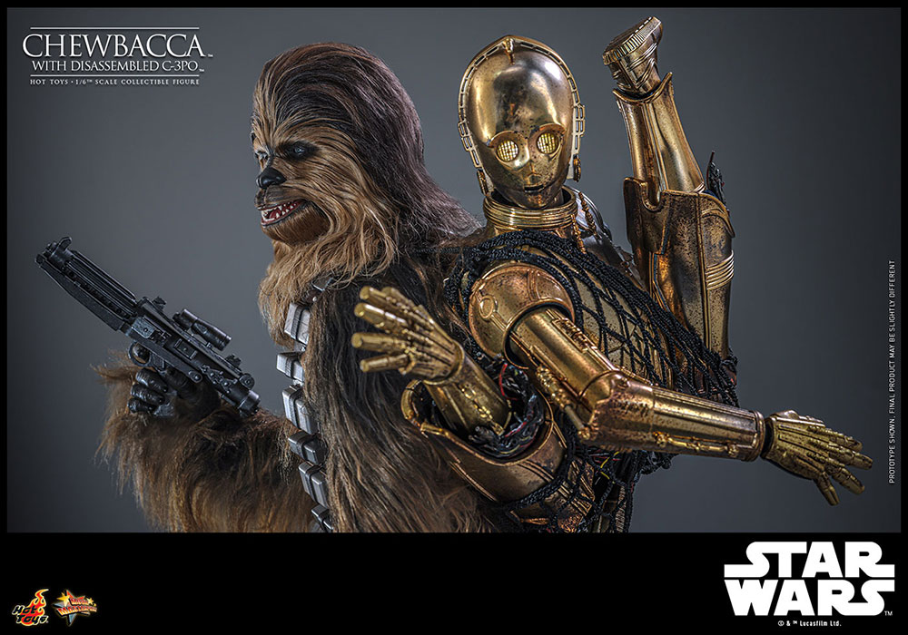 スター・ウォーズ エピソード5／帝国の逆襲「チューバッカ＆C-3PO（分解）」のフィギュア画像