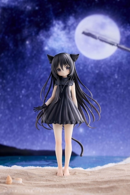 星空鉄道とシロの旅「ノワール」のフィギュア画像