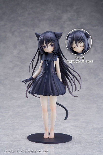 星空鉄道とシロの旅「ノワール」のフィギュア画像