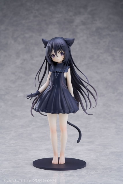 星空鉄道とシロの旅「ノワール」のフィギュア画像