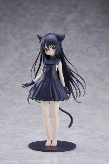 星空鉄道とシロの旅「ノワール」のフィギュア画像