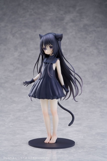 星空鉄道とシロの旅「ノワール」のフィギュア画像