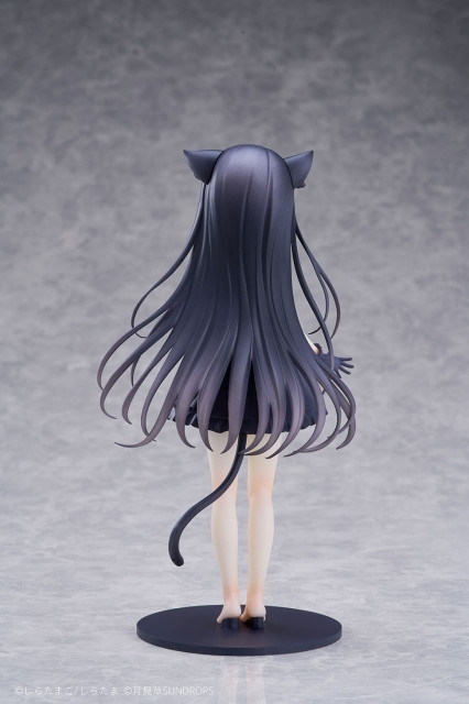 星空鉄道とシロの旅「ノワール」のフィギュア画像