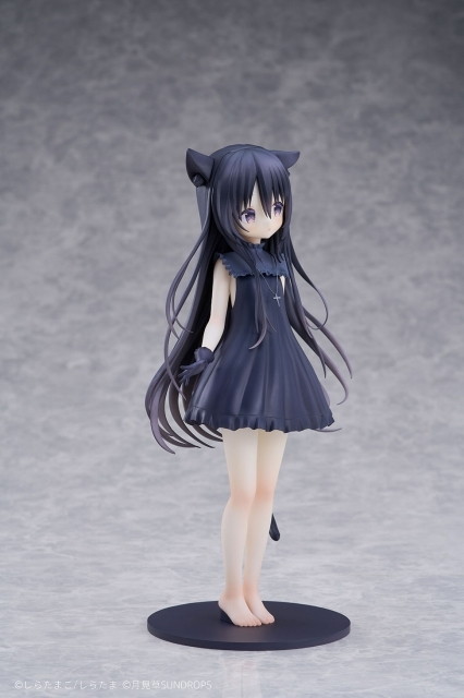 星空鉄道とシロの旅「ノワール」のフィギュア画像