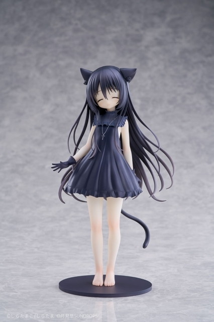 星空鉄道とシロの旅「ノワール」のフィギュア画像