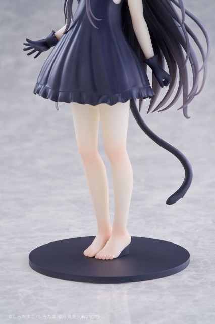 星空鉄道とシロの旅「ノワール」のフィギュア画像
