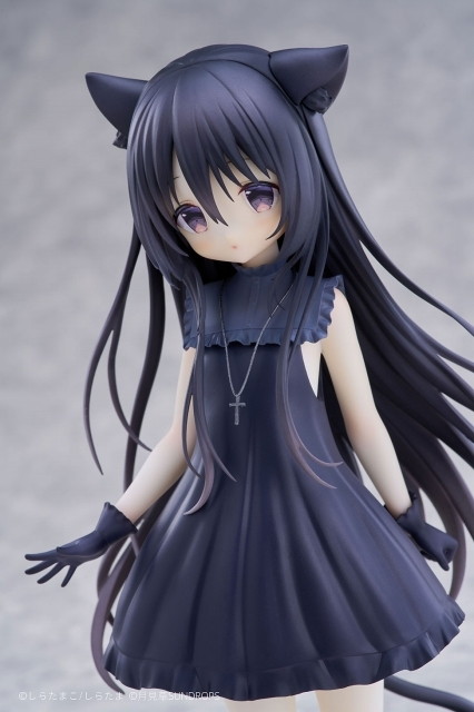 星空鉄道とシロの旅「ノワール」のフィギュア画像