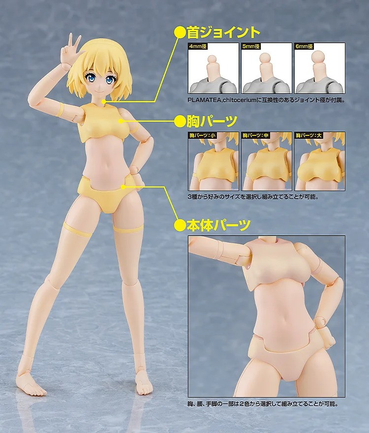 「PLAMATEA ミューズボディ：いちか Bタイプ」のフィギュア画像