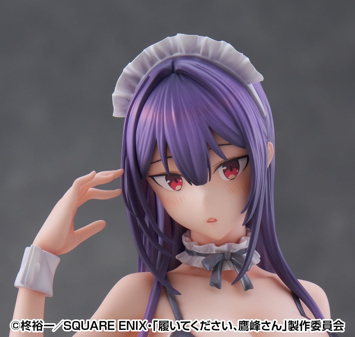 TVアニメ 履いてください、鷹峰さん「鷹峰高嶺」のフィギュア画像