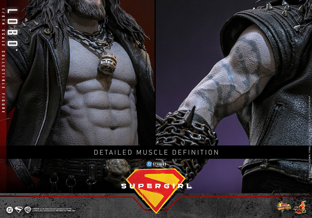 映画 スーパーガール「ロボ」のフィギュア画像