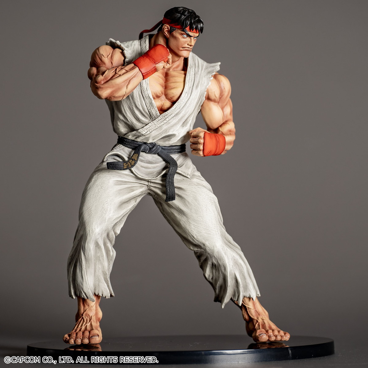 ストリートファイターII「THE KING OF COLLECTORS`24 No.9 「リュウ」(通常カラー) 」のフィギュア画像