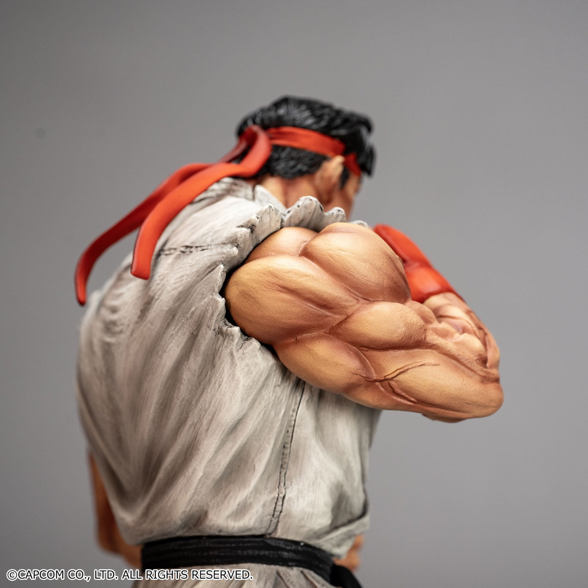 ストリートファイターII「THE KING OF COLLECTORS`24 No.9 「リュウ」(通常カラー) 」のフィギュア画像