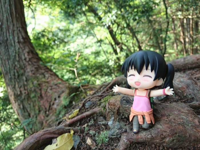 ねんどろいどと山へ行こう♪「ヤマノススメ」コラボ アウトドアフォトコンテストが開催!