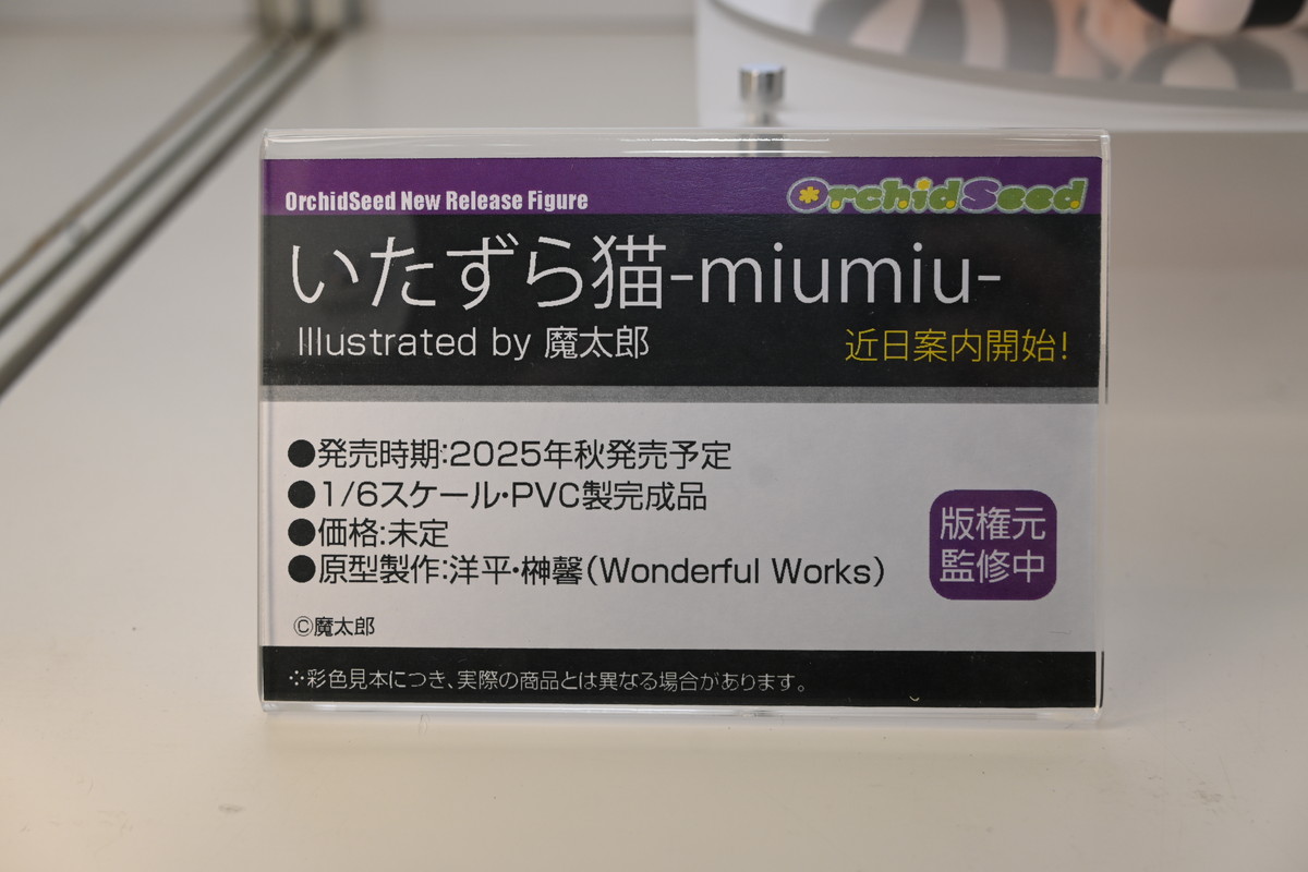 【ワンフェス2025冬フォトレポート】あみあみホビーキャンプブースから「あおぎり高校」エトラ、「Fate/Grand Order」バーヴァン・シーなどのフィギュアを紹介！