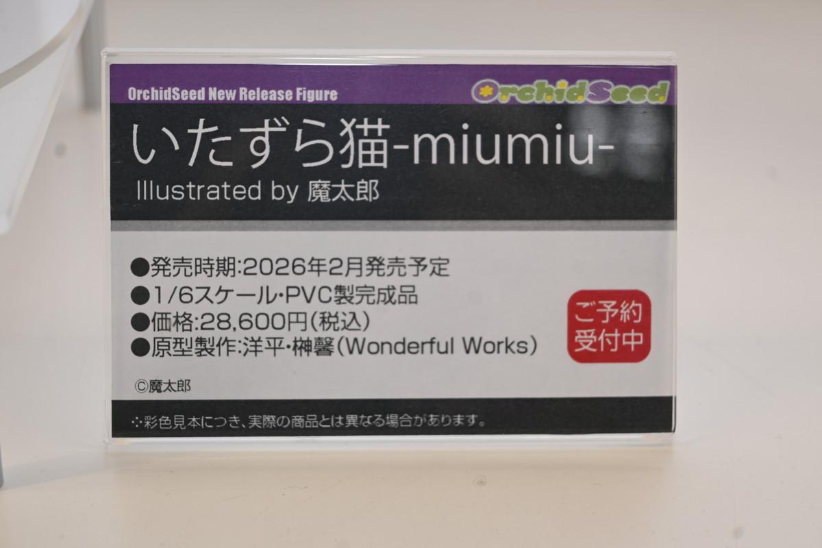 【ワンフェス2025夏フォトレポート】あみあみホビーキャンプブースから「アズールレーン」樫野、「【推しの子】」有馬かななどのフィギュアを紹介!